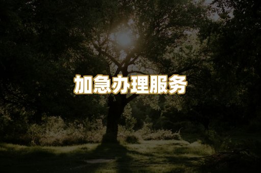 加急办理服务